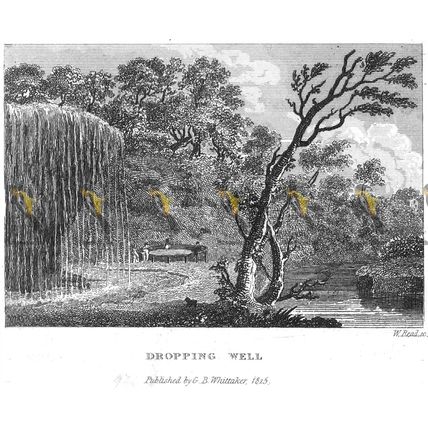 Dropping Well, Knaresborough, Yorkshire, 1825, MODERN REPRODUCTION