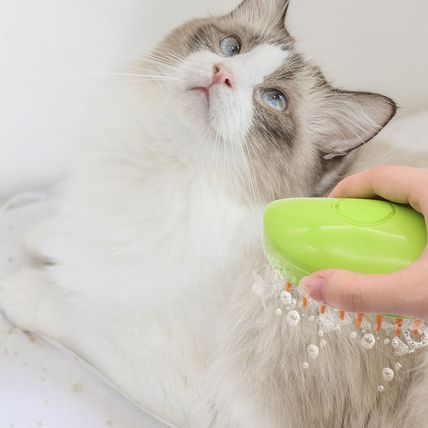 Cat Steam Brush Steamy 3 in 1 Electric Spray Hair Brushes Massage Pet Grooming