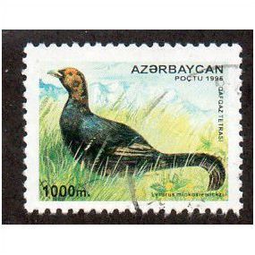 AZB 1995 1000m 'BIRDS ' FINE USED (EBID10126)