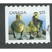 CAN 2011 $1.25 (S/A) 'BABY WILDLIFE' FINE USED (EBID51-069)