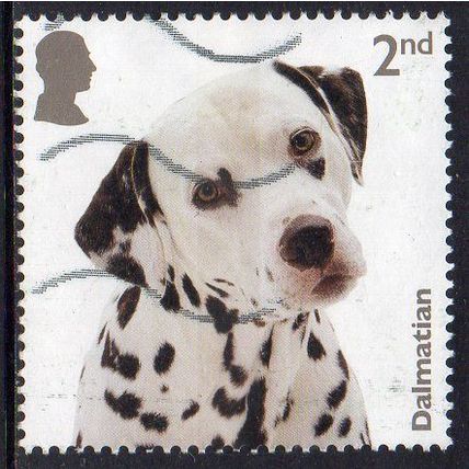 GB 2024 Dogs - Dalmatian 2nd Used