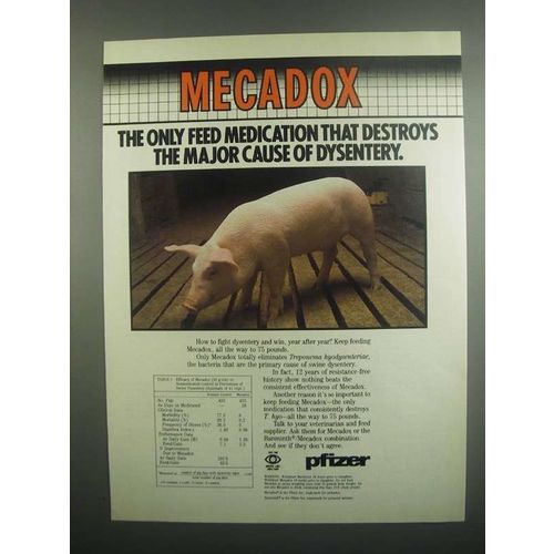 1984 Pfizer Mecadox Ad - Destroys Cause of Dysentery