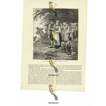 Procession Returned To The Boats, Norwegian Wedding, Book Illustration, 1886