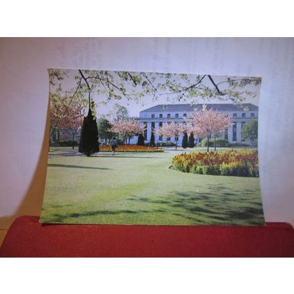 ALEXANDRA GARDENS, CARDIFF, WALES unused postcard by W F Sedgwick=