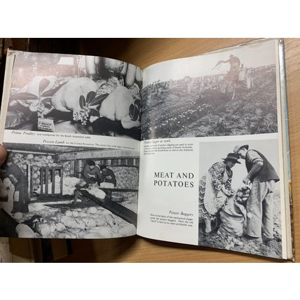 1963 "SUNNY SOUTH" PICTORIAL REVIEW OF SOUTH AUSTRALIA HARDBACK BOOK (P4)
