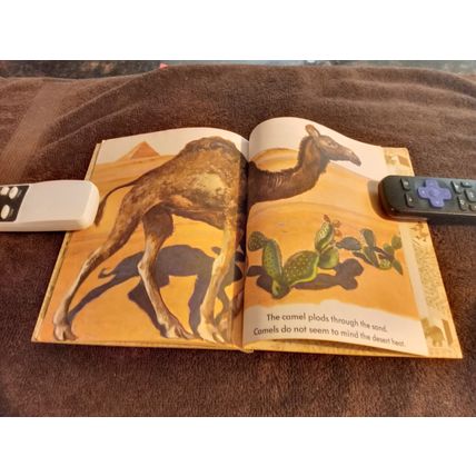 Little Golden Book Wild Animals By Feodor Rojankovsky 5.0 Very Good/Fine 1970