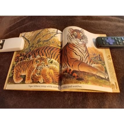 Little Golden Book Wild Animals By Feodor Rojankovsky 5.0 Very Good/Fine 1970