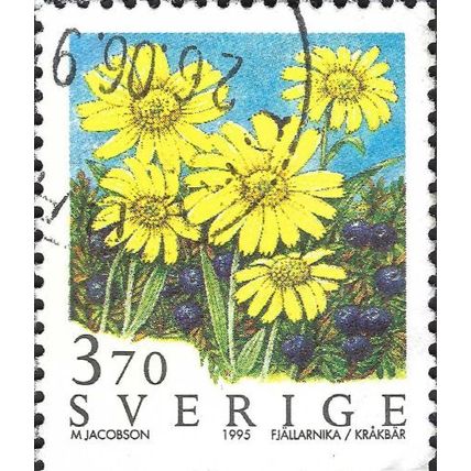 SWEDEN, FLOWER, Alpine arnica, crowberry, yellow 1995, 3.70Kr