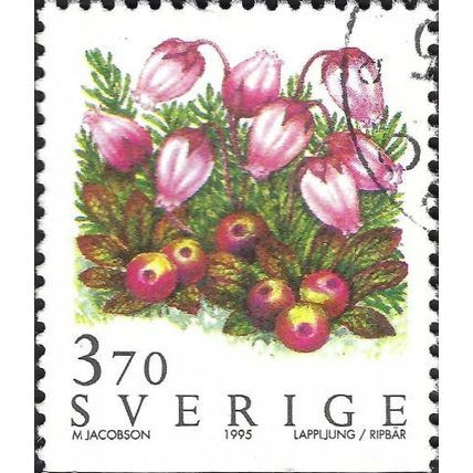 SWEDEN, FLOWER, Mountain heath, black bearberry, green 1995, 3.70Kr