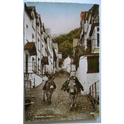1963 postcard Up Along, Clovelly