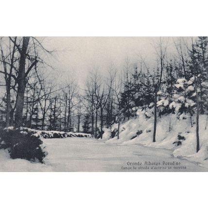 Grande Alberga Italy In Snow Paradisa Antique Postcard