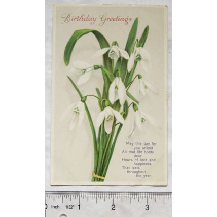 1914 postcard Birthday Greetings - white flowers