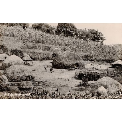 A Zulu Homestead South African Tribe Houses RPC Old Postcard