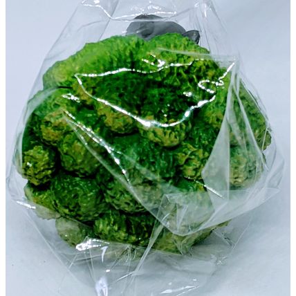 Vegetable Fairy Ground Hog Brocolli Figurine