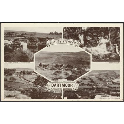 Beauty Spots of Dartmoor, Devon, 1957 - Postcard