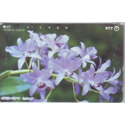 Orchid Japan NTT Phone Card