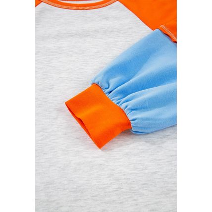 Light Grey Color Block Raglan Sleeve Contrast Stitching Loose Fit Top