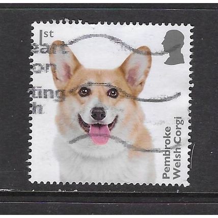 2024 Dogs - Pembroke Welsh Corgi - used