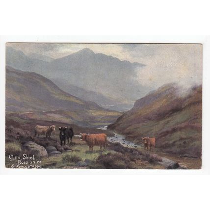 Glen Shiel Ross-shire 1904 E Longstaffe Art Postcard