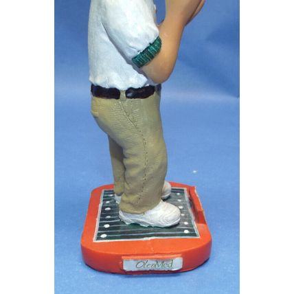 Larry Coker University Miami Hurricanes Football Coach Limited Bobblehead Publix