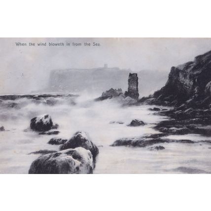 Campbell Town Australia Disaster Weather Wind From Sea Postcard
