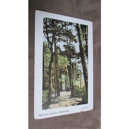 Early fr Arcadia Series Postcard - Natural Avenue, Horsham - Sussex N2