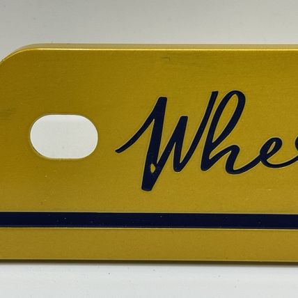 Disneyland Resort “Where Magic Lives” Gold Metal License Plate Frame Cover