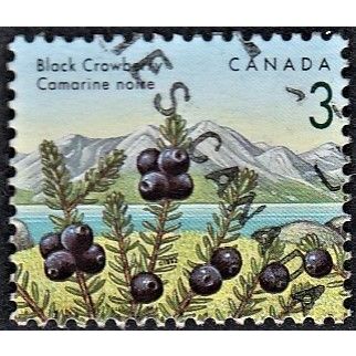 CANADA, 1991 3c Black Crowberry, SG 1462 (Scott #1351), used