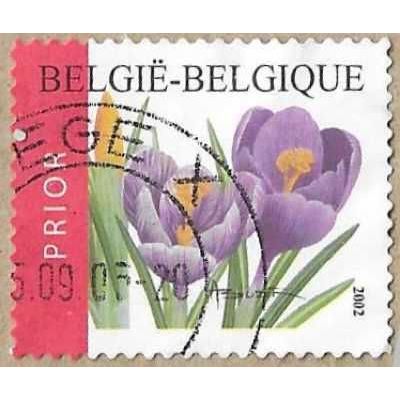 2002 - Crocus vernus - 16743