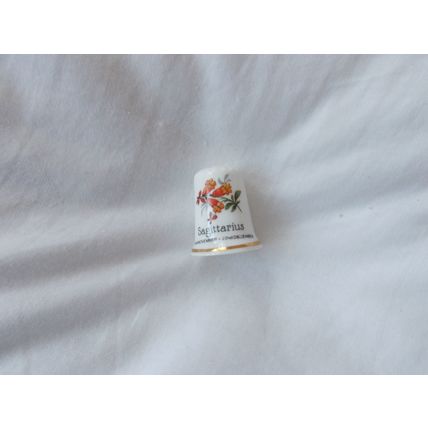 ZODIAC SIGN / ORANGE FLOWERS (05/10) #