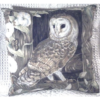 Beautiful Barn owl in barn window cushion ( very rare) pillow