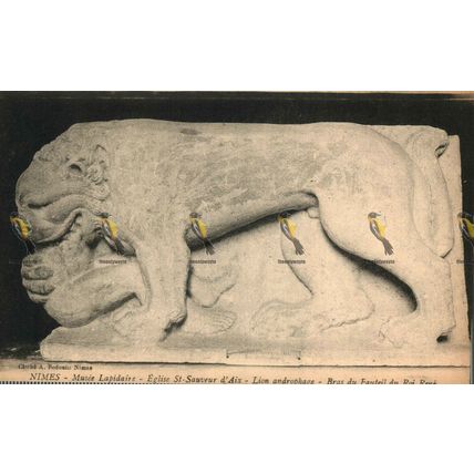 Nimes, Eglise St Sauveur D'Aix, Lion Androphage (1), France, Postcard, 1920s