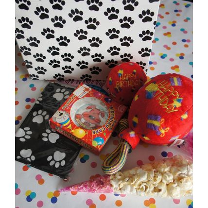 DOG GIFT BOX WITH DOG BANDANA BIRTHDAY BALLOON TOY POPCORN & DOG BIRTHDAY CAKE