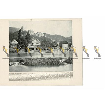 Heidelberg Castle, Germany, Book Illustration (Print), 1899