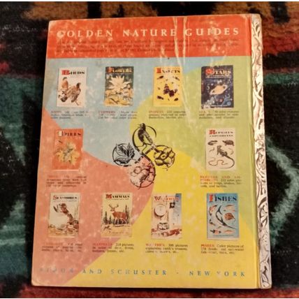 Little Golden Activity Book ABC Around The House (A) Edition All Intacted 1957