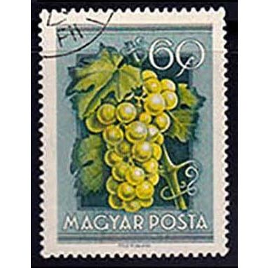 Hungary 1954 Fruit 60f Used Stamp
