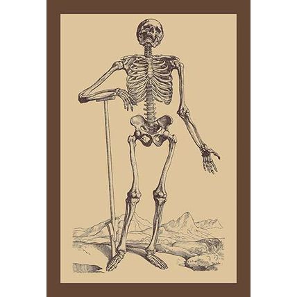 Skeleton with Shovel 20 x 30 Poster