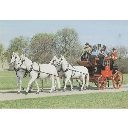 Royal Mail First Ever Coach Run 1984 Horse Norwich Union Postcard