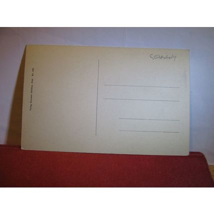 LEVENSAUR HOCHBRUCKEN, GERMANY unused antique postcard High Bridge #