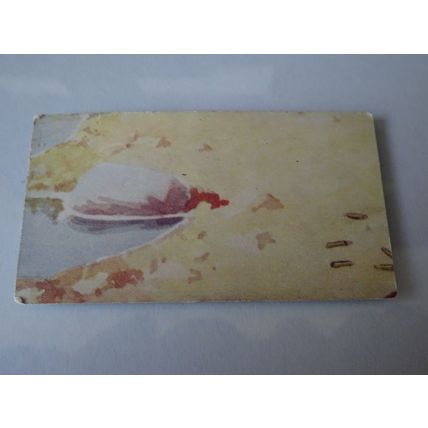 1929 D.C. Thomson The Rover Warrior Cards Card # 14 Papuan Headhunter Good (2)