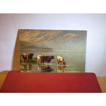 LLYN GADAR, BEDDGELERT, GWYNEDD unused antique postcard by Raphael Tuck. =