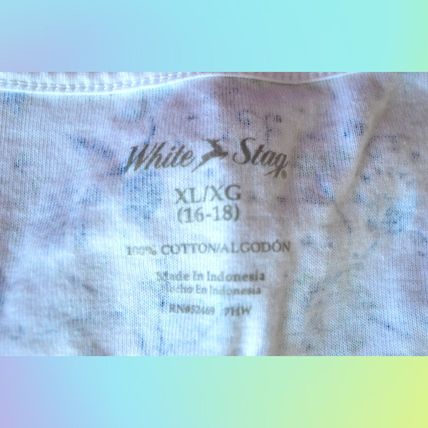 White Stag y2k Floral Tank Top Womens XL 16/18 White Beige Blue Green Summer