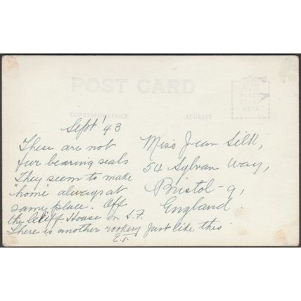 The Seals of Santa Cruz, California, 1943 - EKC RPPC