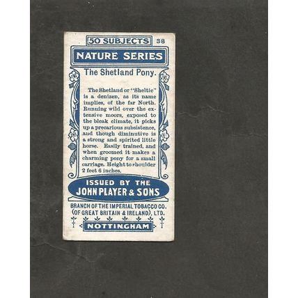 Cigarette Card Players Nature Series 1909 #38 Shetland Pony