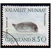 1991 Greenland Sc# 238 - Harbour Seal 8.50 kr used