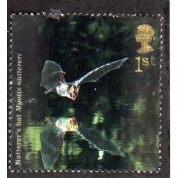 Great Britain 2004 Woodland Animals 1st Bat Used SG 2486 Sc 2235 postage stamp