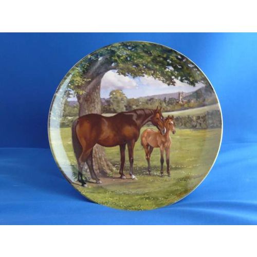 English Thoroughbred