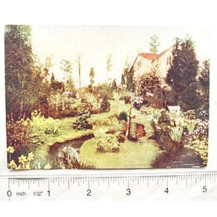 1938 postcard Godfrey Phillips Garden Studies no.28