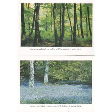 Ancient Woodland Trees Danger Under Threat 2x Appeal Postcard s