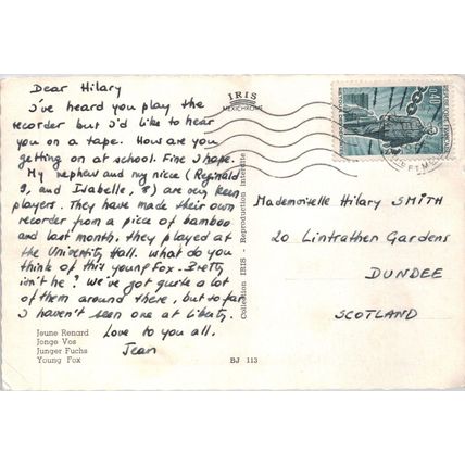 Postcard Young fox